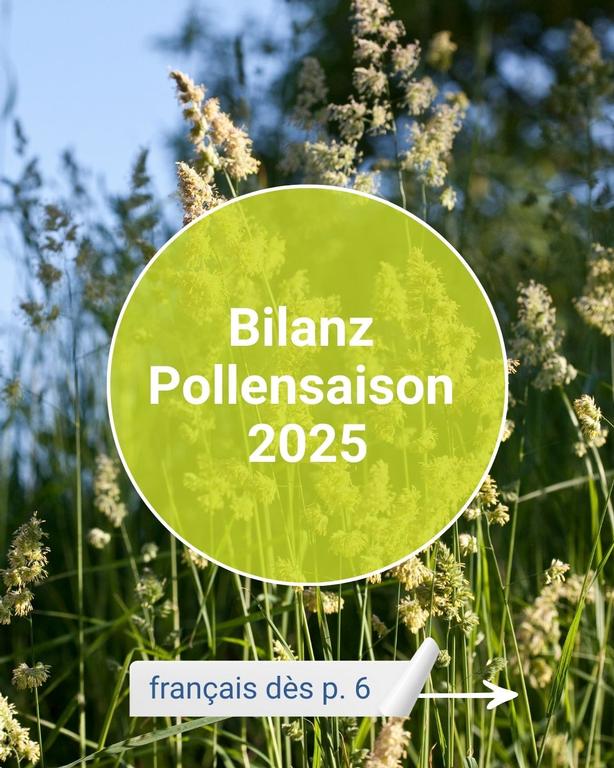 Zur Medienmitteilung: Bilanz Pollensaison 2025