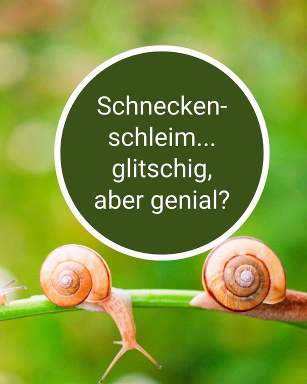 SNAIL-Projekt