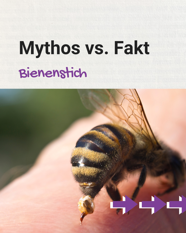 aha.ch/insektenstich
