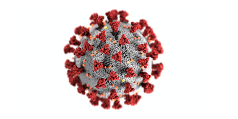 Covid-19-Virus