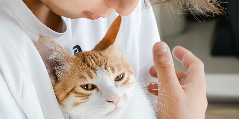 Kind mit Katze im Arm