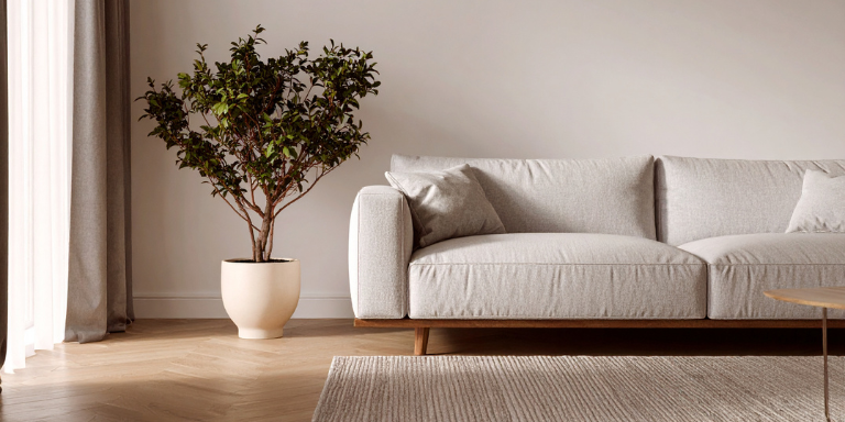 Aperçu d'un salon avec un canapé