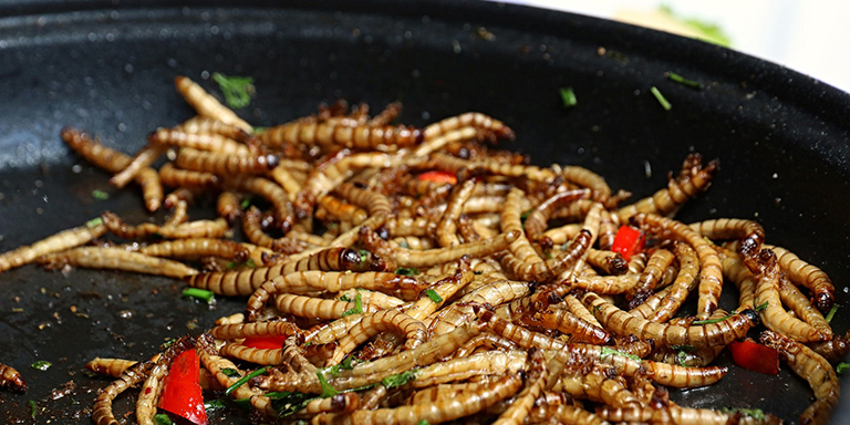 Les insectes sont cuits dans une poêle