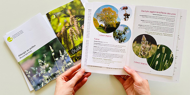 La brochure sur l'allergie pollinique de aha! Centre d'Allergie Suisse