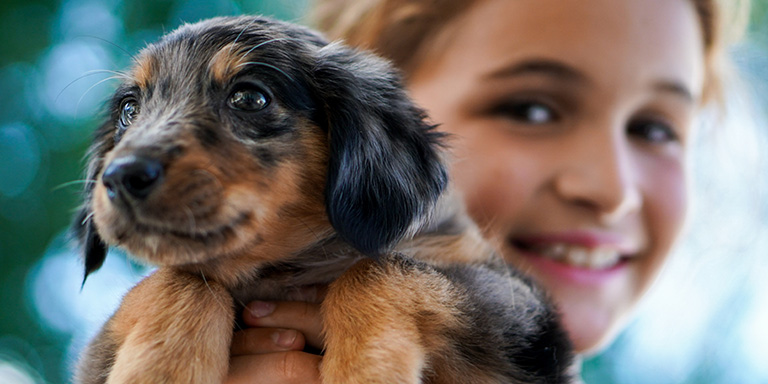 Une fillette tient un chiot dans ses mains