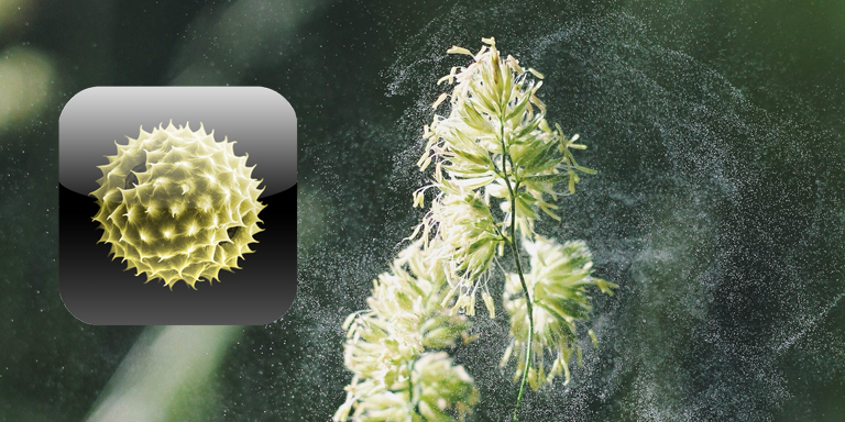Immagine simbolica dell'app Pollen News