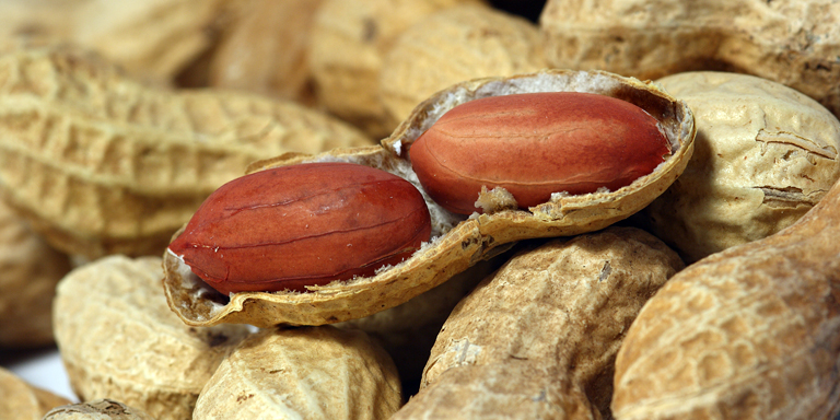 Erdnüsse. Diese können allergische Reaktion auslösen.