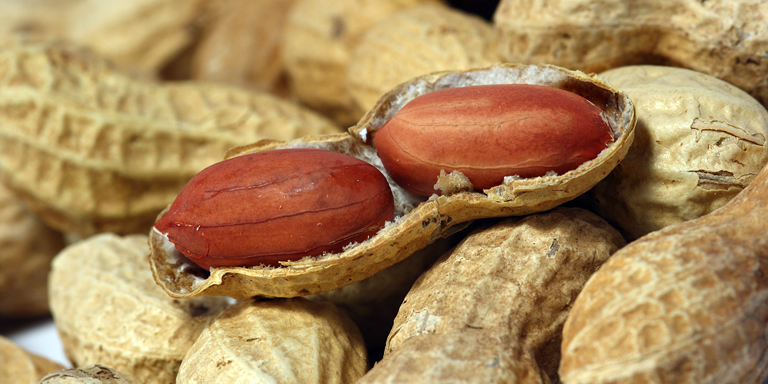 Cacahuètes. Ceux-ci peuvent provoquer une réaction allergique.