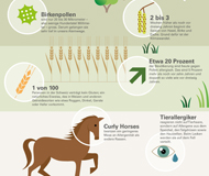 aha! Allergiezentrum Schweiz - Jahresthema 2019 - Raus in die Natur – trotz Allergien - Bild: Infografik