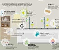 aha! Allergiezentrum Schweiz - Jahresthema 2021 - Experiment Allergien - Infografik "Allergien unter der Lupe"