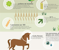 aha! Centre d'Allergie Suisse - Thème de l'année 2019 - Profiter de la nature – en dépit des allergies - Image: Infografique