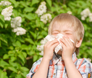 aha! Centre d'Allergie Suisse - Thème de l'année 2019 - Profiter de la nature – en dépit des allergies - Image: Un garçon renifle son nez