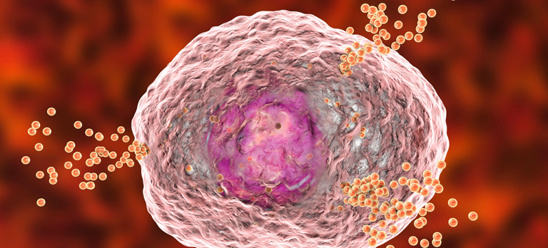 Cosa succede nel corpo - immagine macroscopica di una molecola