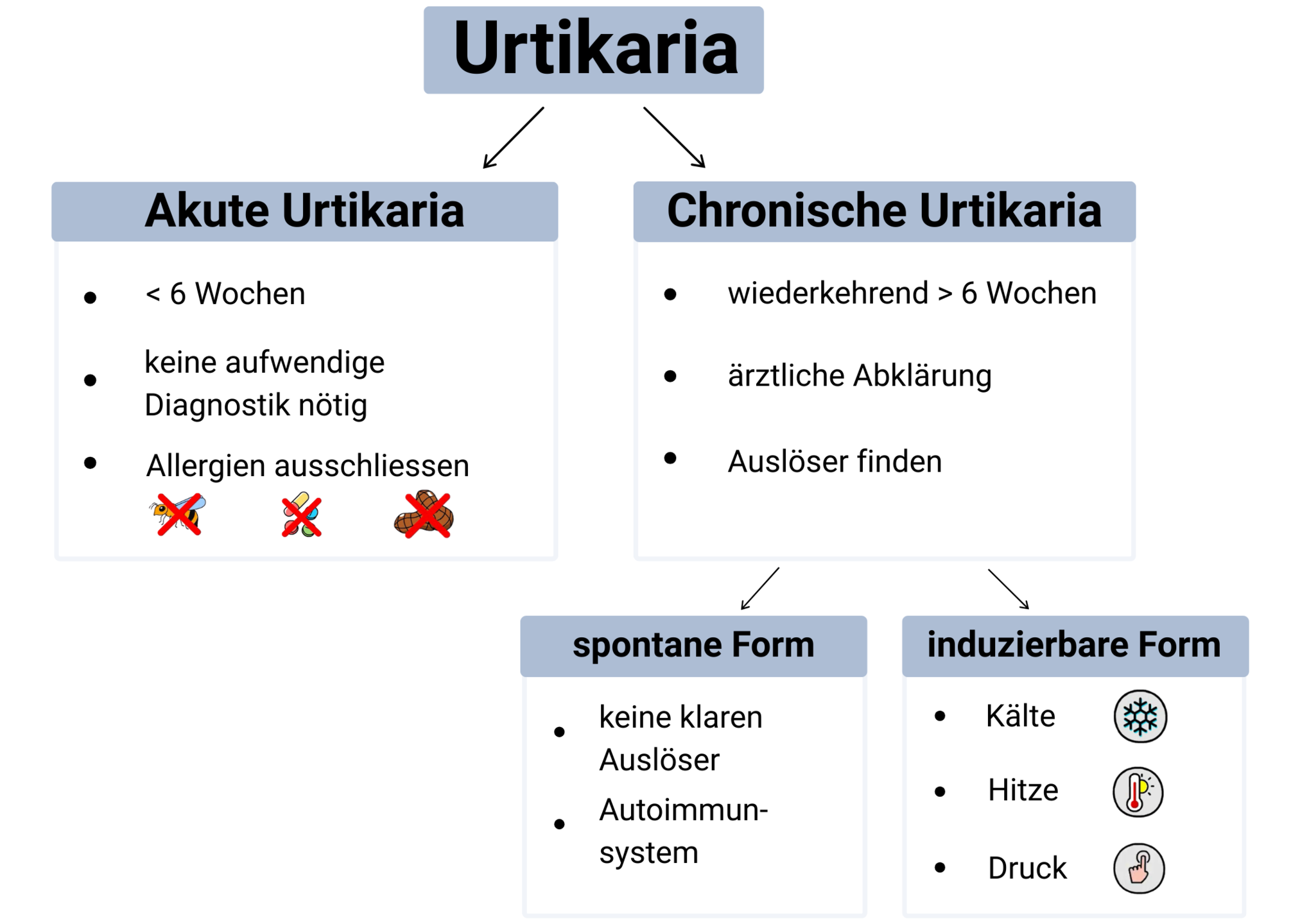 Infografik Urtikaria