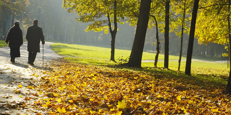 Un couple âgé se promène dans un parc d'automne