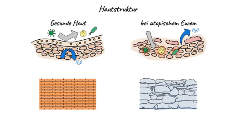 Visualisierung des Erklärvideos