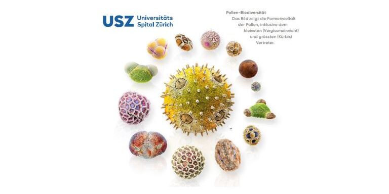 Formenvielfalt der Pollen, inklusive dem kleinsten (Vergissmeinnicht) und grössten (Kürbis) Vertreter
