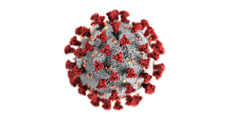 Virus Covid-19