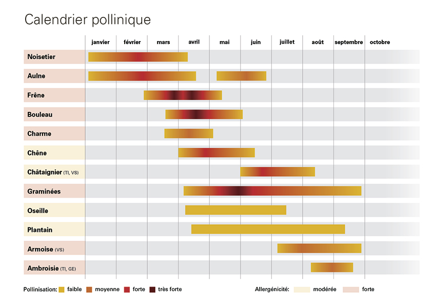 /userfiles/images/shop/flyer/f/aha-ahashop-flyer-allergie-calendrier-pollinique.jpg