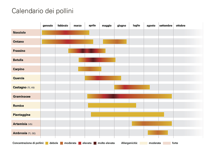 /userfiles/images/shop/flyer/i/aha-ahashop-flyer-calendario-dei-pollini.jpg