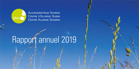 Pagina di copertina rapporto annuale