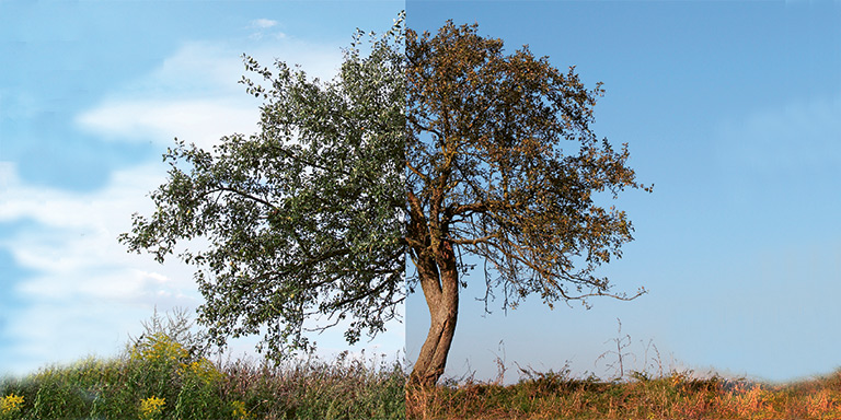 Pagina di copertina rapporto annuale